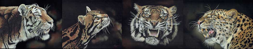 Wildlife Art